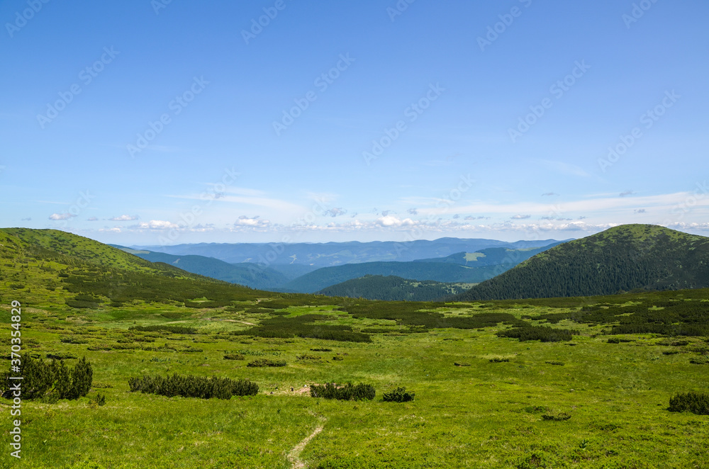 
Beautiful summer landscape of Carpathian mountains from Chornohora ridge. Spruces on hills, cloudy sky and green meadow. Travel destination scenic