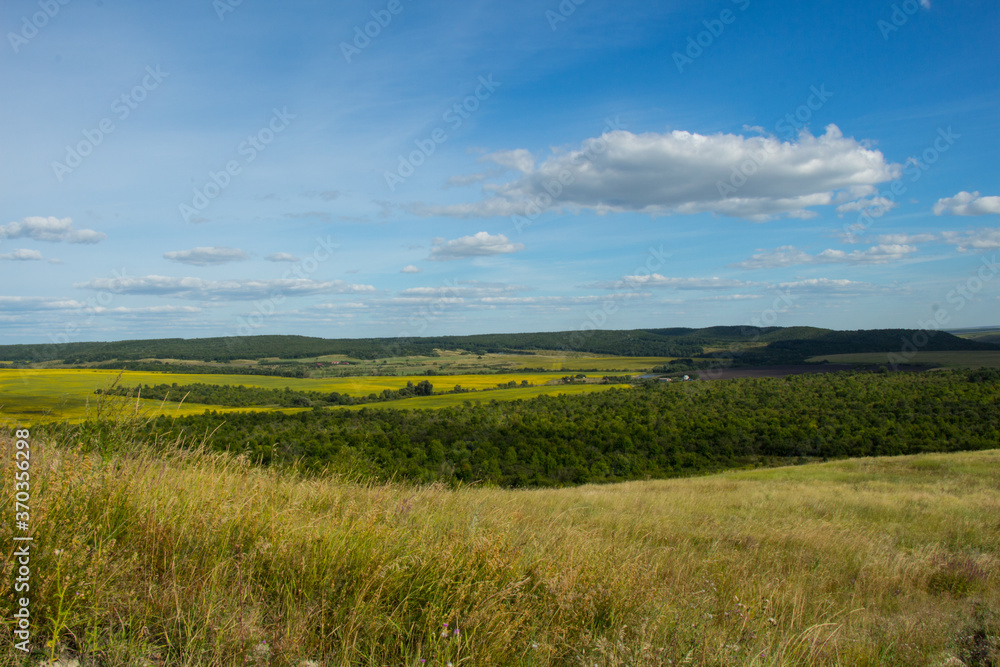 Agricultural fields on the background of forest and cloudy sky. Agricultural fields on the background of forest and cloudy sky.