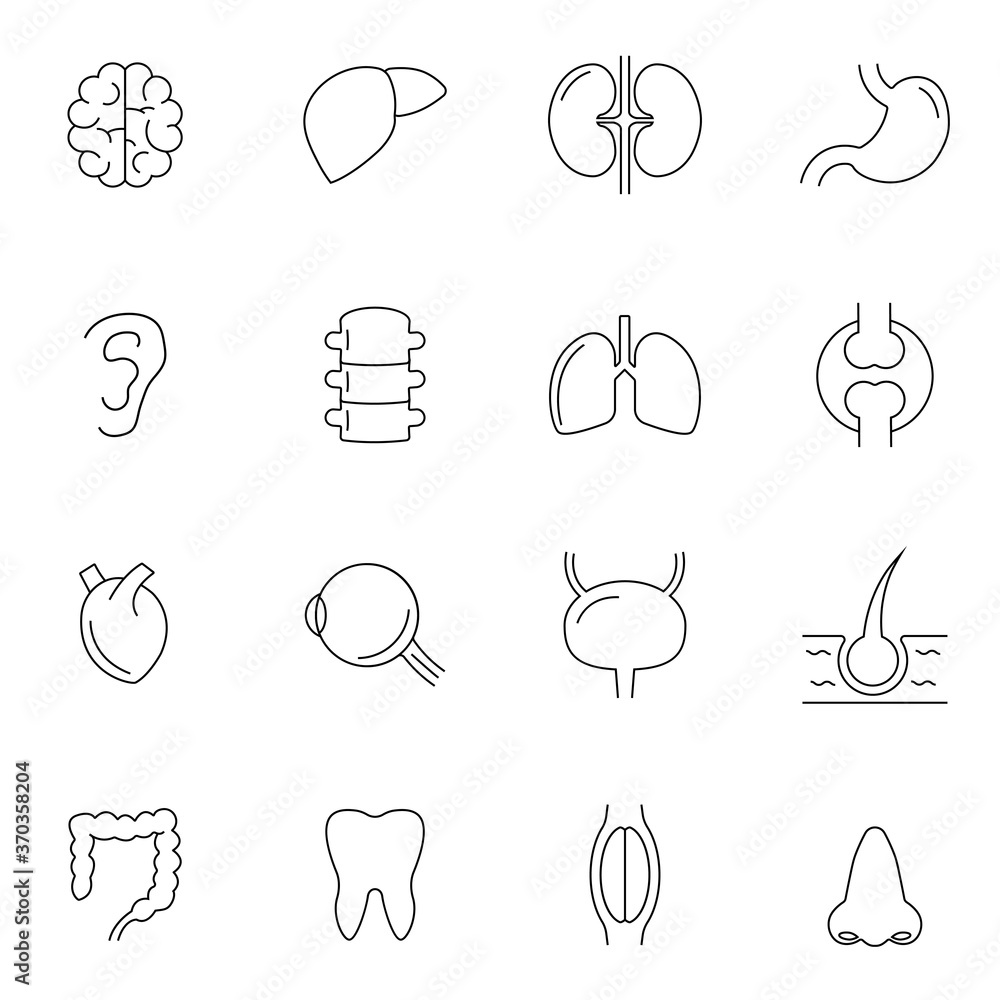 Human organ signs or body parts symbols. Tooth and brain line icons, eye and liver images. Vector illustration. EPS 10 Human organ signs or body parts symbols. Tooth and brain line icons, eye and liver images. Vector illustration. EPS 10