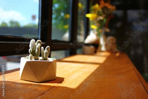 cactus in white clay pot decorate beside the window on wood sheives in coffee restaurant