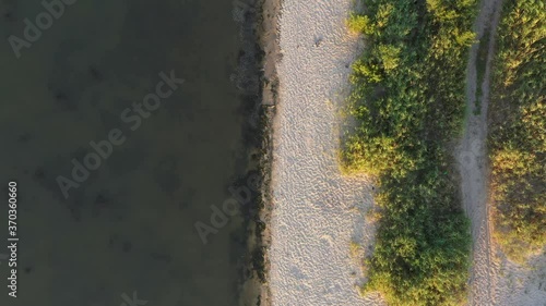Wallpaper Mural Shoreline with green reeds and sand. Aerial view.  Torontodigital.ca