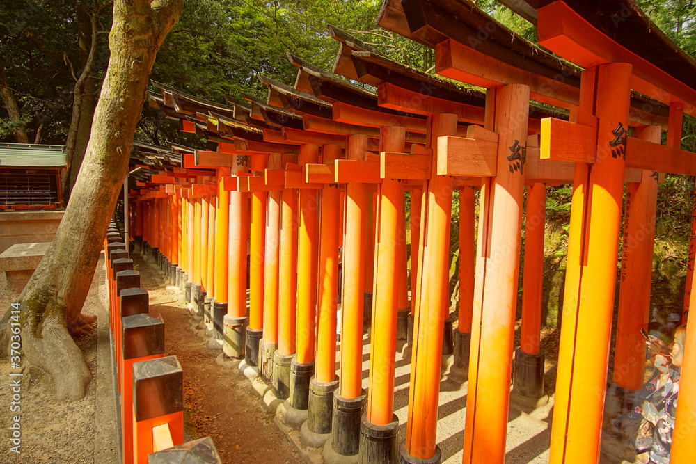 TORII, many Japanese religious objects lined in the shrine TORII, many Japanese religious objects lined in the shrine