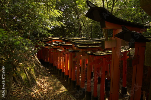 TORII  many Japanese religious objects lined in the shrine