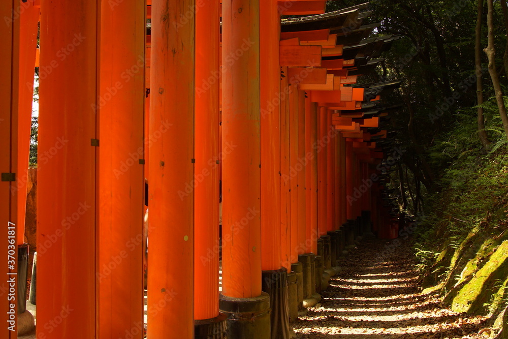 TORII, many Japanese religious objects lined in the shrine TORII, many Japanese religious objects lined in the shrine
