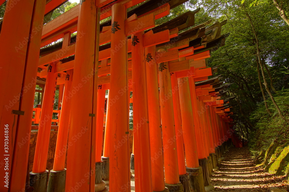 TORII, many Japanese religious objects lined in the shrine TORII, many Japanese religious objects lined in the shrine