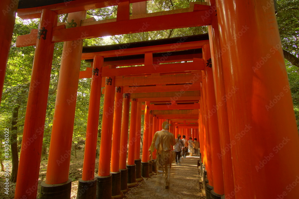 TORII, many Japanese religious objects lined in the shrine TORII, many Japanese religious objects lined in the shrine