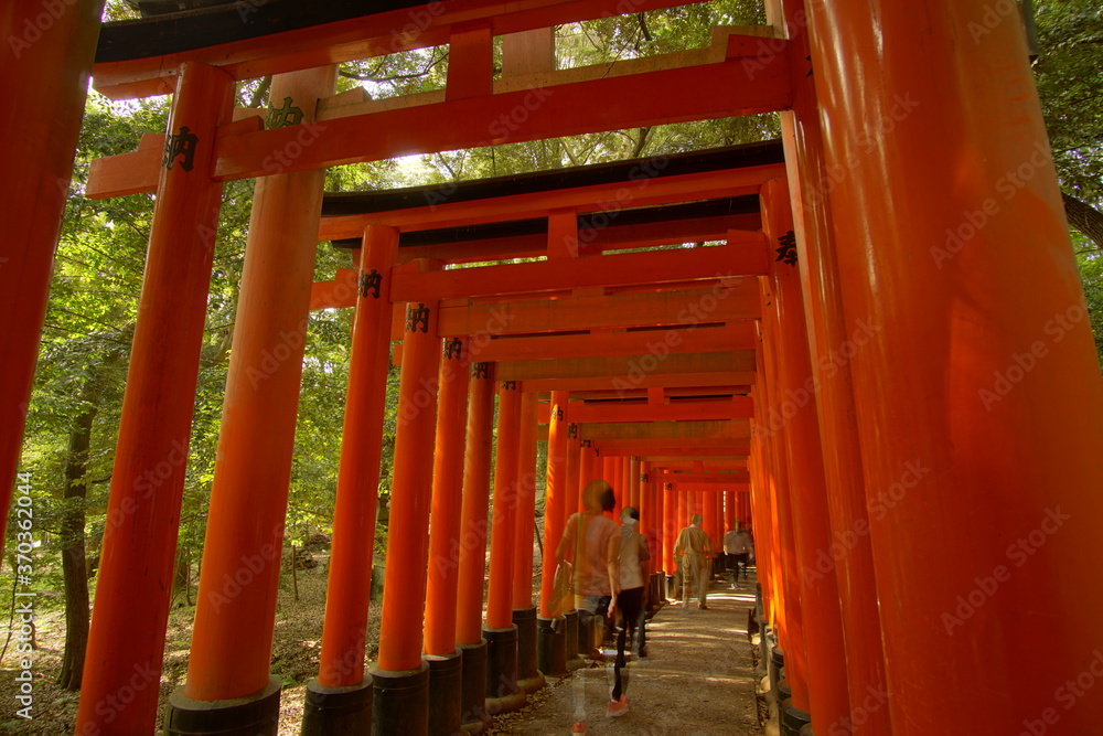 TORII, many Japanese religious objects lined in the shrine TORII, many Japanese religious objects lined in the shrine