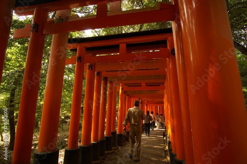 TORII, many Japanese religious objects lined in the shrine