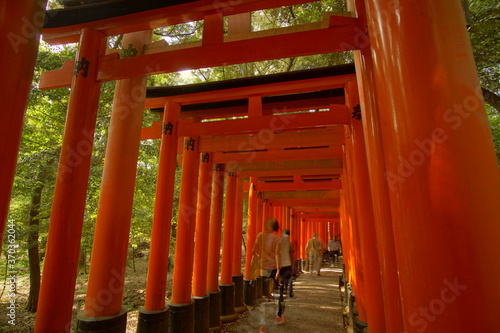 TORII, many Japanese religious objects lined in the shrine