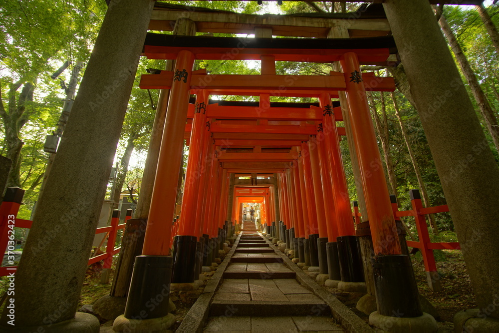 Red and black torii gates are lined up at shrine in Kyoto, Japan Red and black torii gates are lined up at shrine in Kyoto, Japan