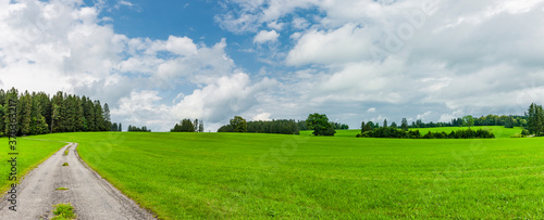 Wanderweg über Grüne Wiesen und Wald