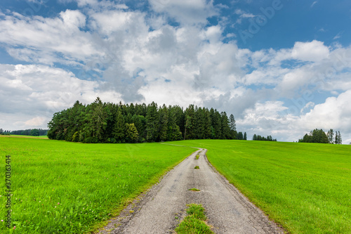 Wanderweg über Grüne Wiesen und Wald