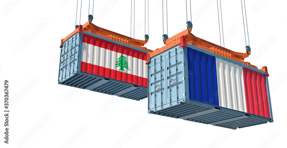 Freight containers with Lebanon and France flag. 3D Rendering 
