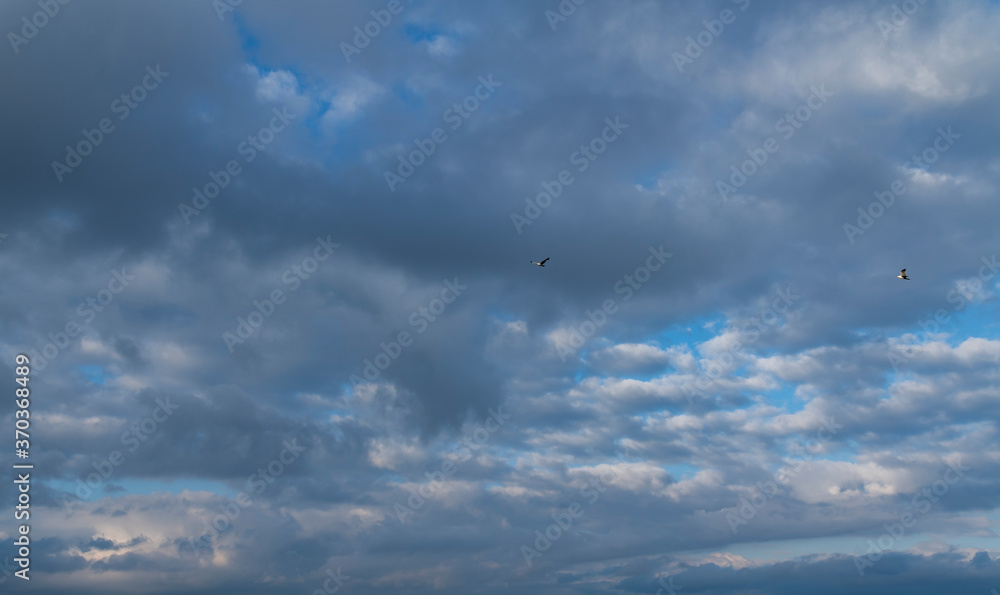 Beautiful sunrise sky with dramatic blue clouds. Nature background. Beautiful sunrise sky with dramatic blue clouds. Nature background.