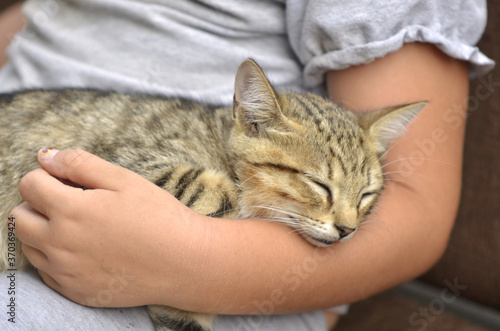 Little kitten sleeping on child arm