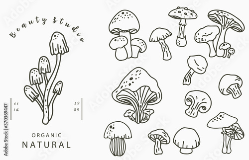 mushroon collection logo with shimeji,shiitake.Vector illustration for icon,logo,sticker,printable and tattoo