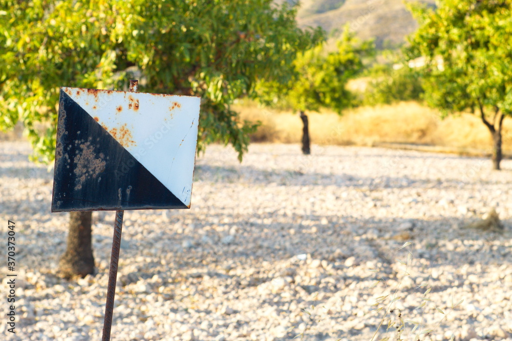 Plantation of almond trees with sign prohibiting hunting