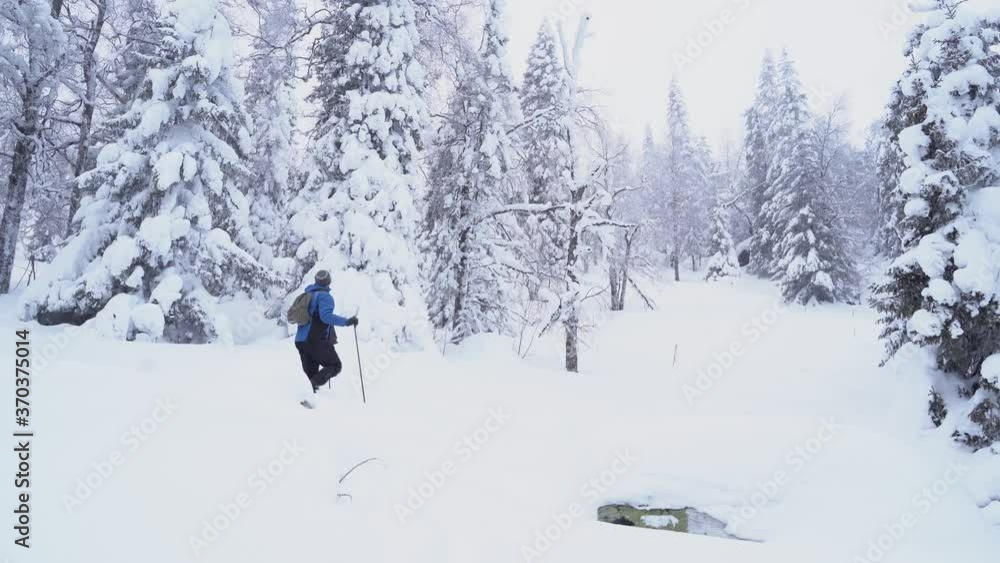 Winter forest with snow and frost on the trees of the taiga, forest fairy tale trees in the snow, tourists walk along the forest path. Winter. Winter forest with snow and frost on the trees of the taiga, forest fairy tale trees in the snow, tourists walk along the forest path. Winter.