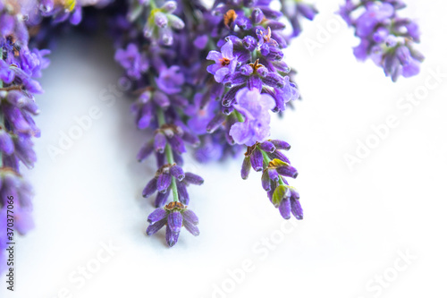 Beautiful lavender bouquet isolated on white background  top view