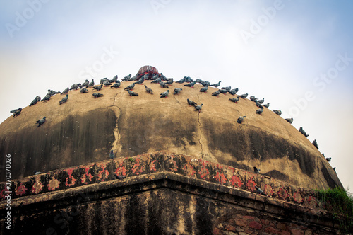 neela gumbad humayun tomb delhi india photo