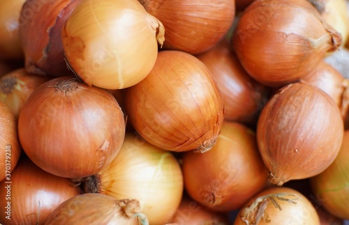 Brown onions at the market (herbs)
