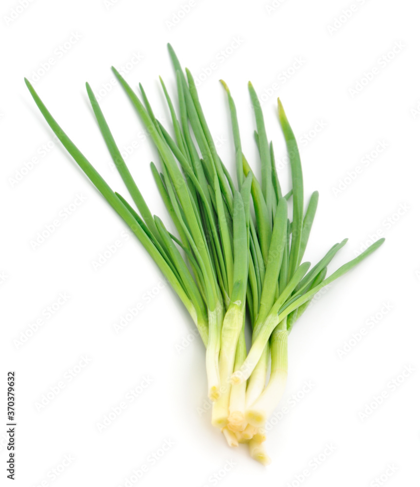 Green onion isolated.