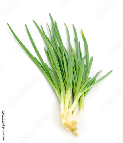 Green onion isolated.