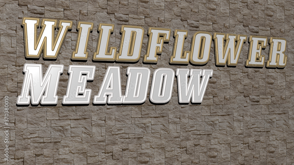 3D graphical image of WILDFLOWER MEADOW vertically along with text built by metallic cubic letters from the top perspective, excellent for the concept presentation and slideshows. illustration and 3D graphical image of WILDFLOWER MEADOW vertically along with text built by metallic cubic letters from the top perspective, excellent for the concept presentation and slideshows. illustration and