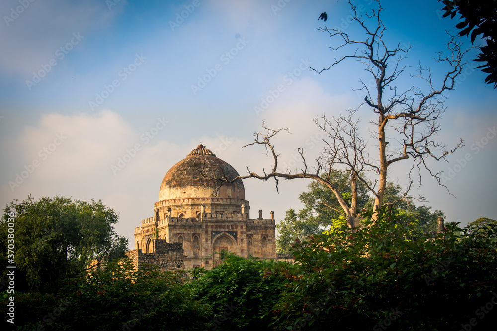 Fototapeta premium lodhi garden delhi india