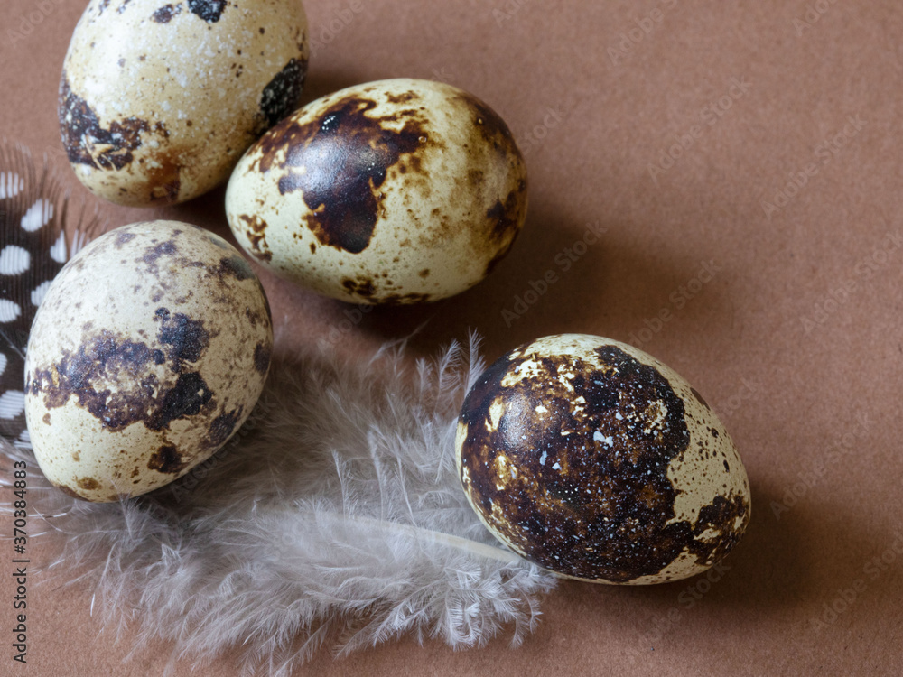 Quail eggs on a brown background with copy space. Close up. Quail eggs on a brown background with copy space. Close up.