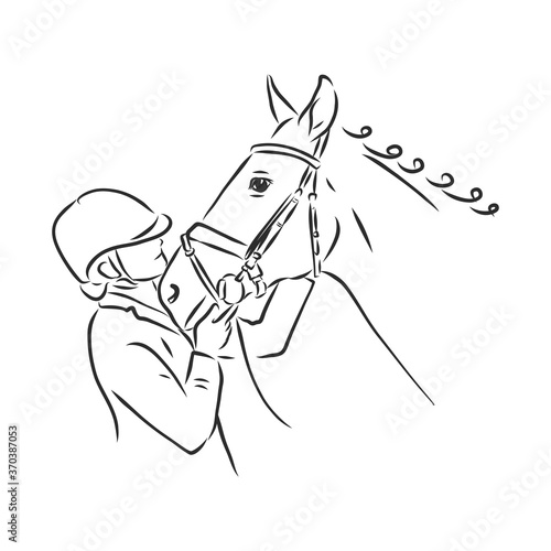 Vector image of a horse head design on white background, Horse Logo. Wild Animals. Vector illustration. Icon