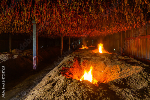 tobacco dark-fire curing process