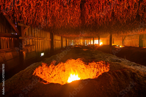 tobacco dark-fire curing process