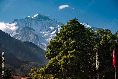 Landscape image with some trees with green foliage and the famous snow capped Jungfrau mountain in the background  seen from Wengen in canton Bern  Switzerland on bright summer day.