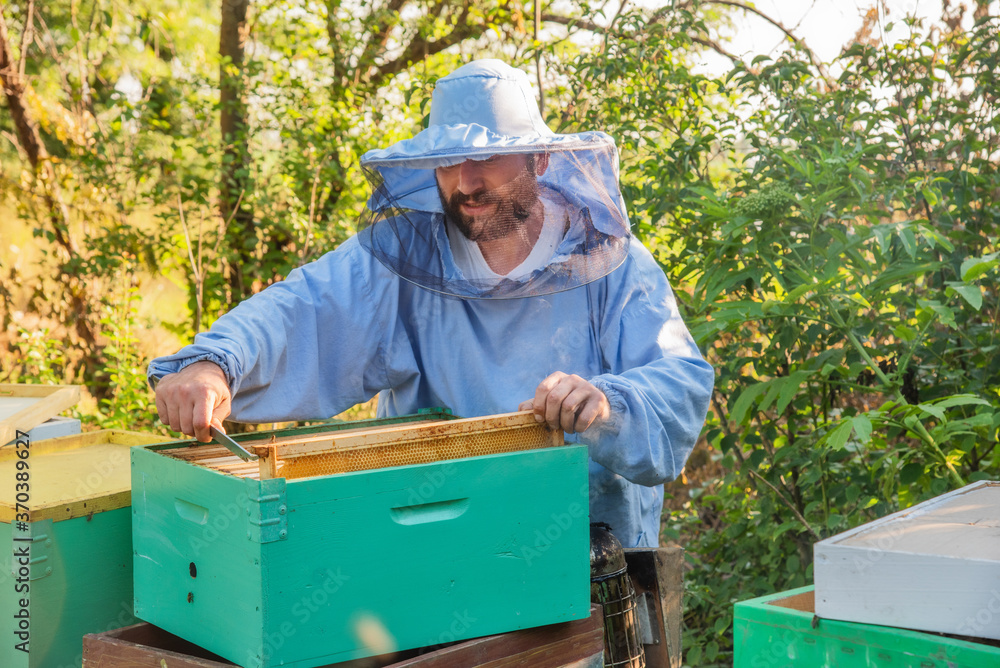 Beekeeper at Work. The beekeeper saves the bees. Beekeeper at Work. The beekeeper saves the bees.