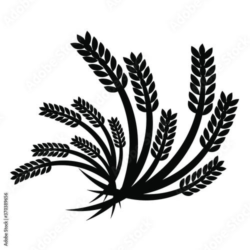 vector illustration of a cannabis leaf