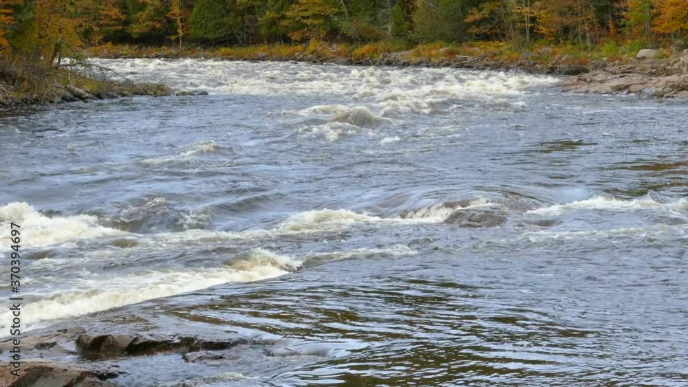 Tranquil and pure sights await the ones who will visit a river in autumn Tranquil and pure sights await the ones who will visit a river in autumn