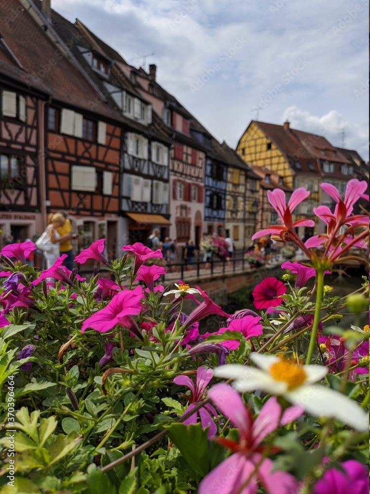 Colmars fleurs route des vins d'Alsace, plus beau village de france avec maison en bois poutre et charpente architacture traditionnel vieille  ferme à colombage