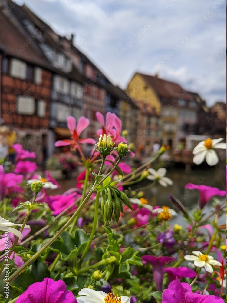Colmars fleurs route des vins d'Alsace, plus beau village de france avec maison en bois poutre et charpente architacture traditionnel ferme à colombage Colmars fleurs route des vins d'Alsace, plus beau village de france avec maison en bois poutre et charpente architacture traditionnel ferme à colombage