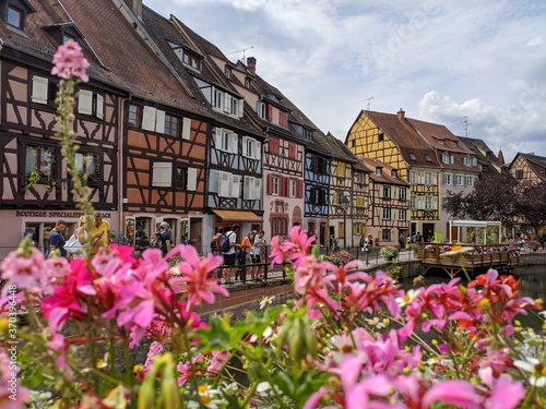Colmars fleurs route des vins d'Alsace, plus beau village de france avec maison en bois poutre et charpente architacture traditionnel vieille  ferme à colombage © Camille
