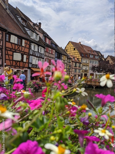 Colmars fleurs route des vins d'Alsace, plus beau village de france avec maison en bois poutre et charpente architacture traditionnel vieille ferme à colombage