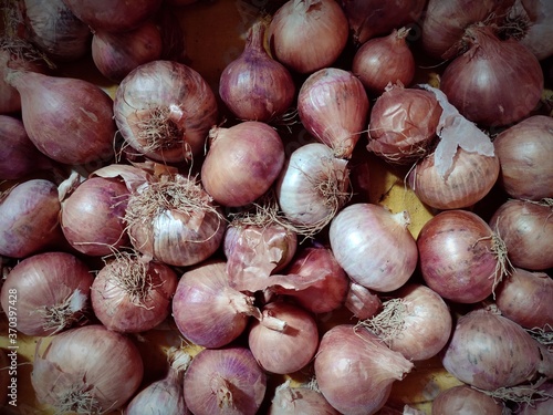 Indian onions at home, pyaz