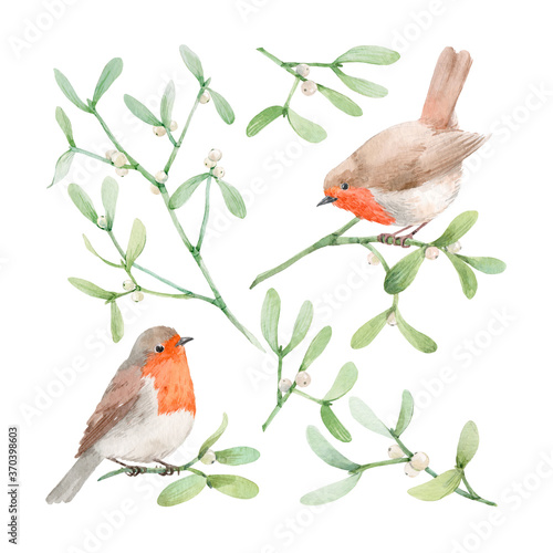 Obraz na plátně Beautiful image with watercolor mistletoe plant and robin bird