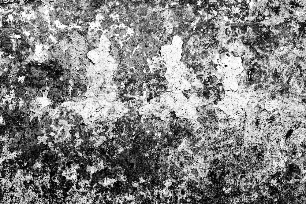 Texture of a concrete wall with cracks and scratches which can be used as a background Texture of a concrete wall with cracks and scratches which can be used as a background