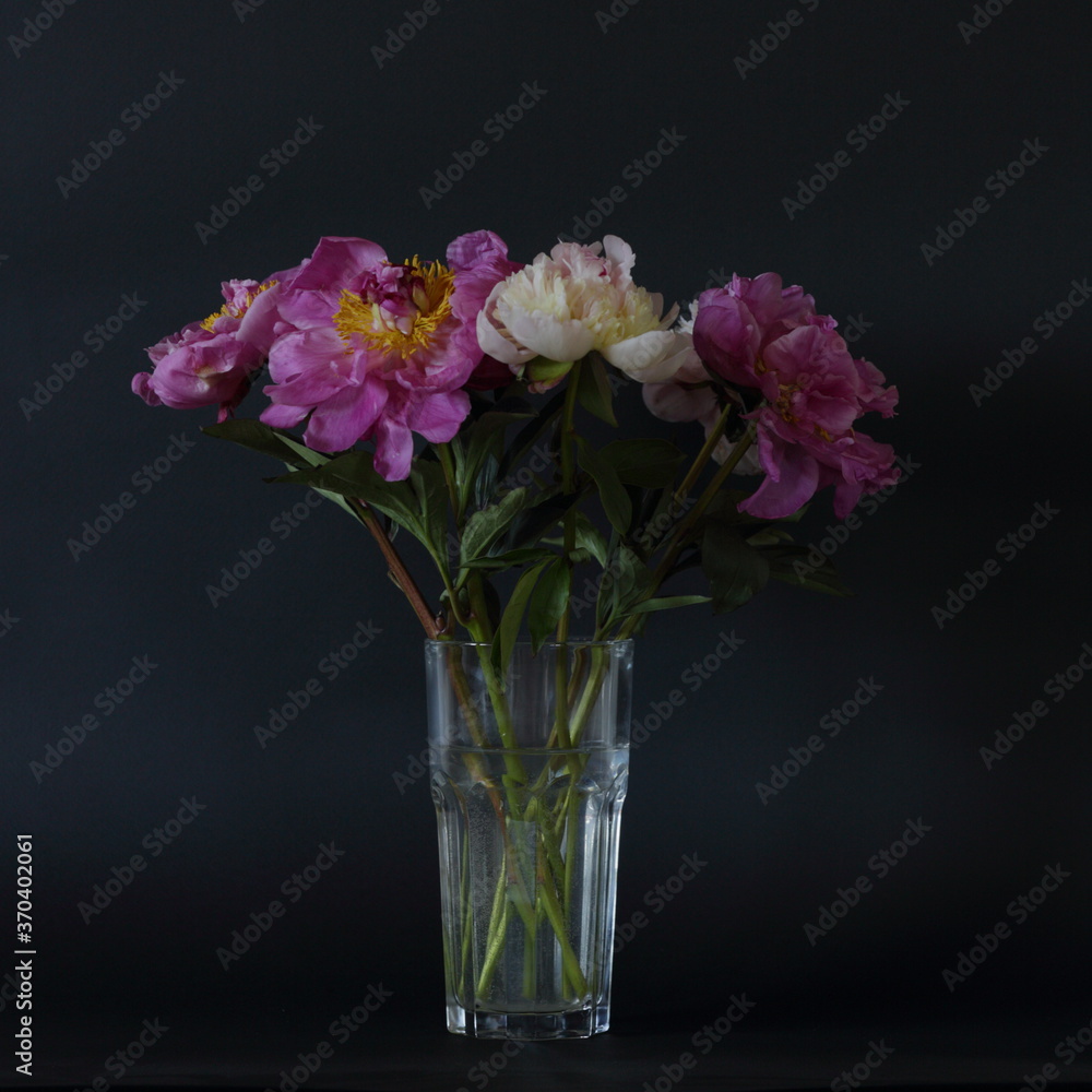 Obraz premium pink and white peonies in a delicate bouquet on a black background