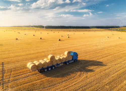 Aerial view of truck with hay bales. Agricultural machinery. Chamfered field and hay stacks after harvesting grain crops at sunset. Top View. Tractor loads bales of hay on truck with trailer. Harvest photo