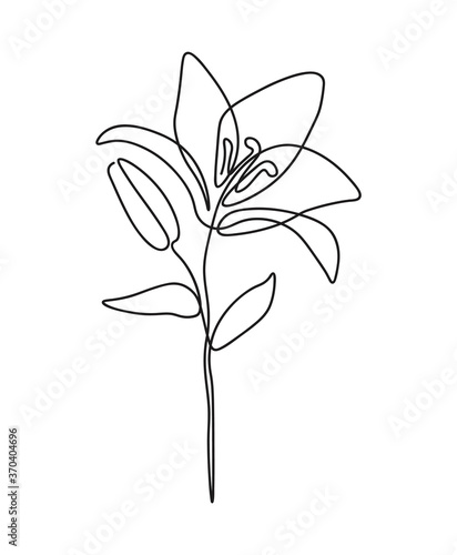 One line continuous of flower, single line drawing art, tropical leaves,  botanical plant isolated, simple art design, abstract line, vector for frame, fashion design, web images, packaging