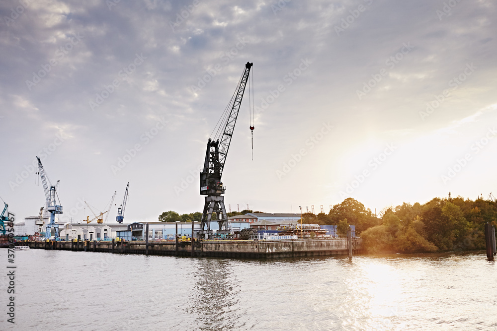 Fototapeta premium Cranes in the port