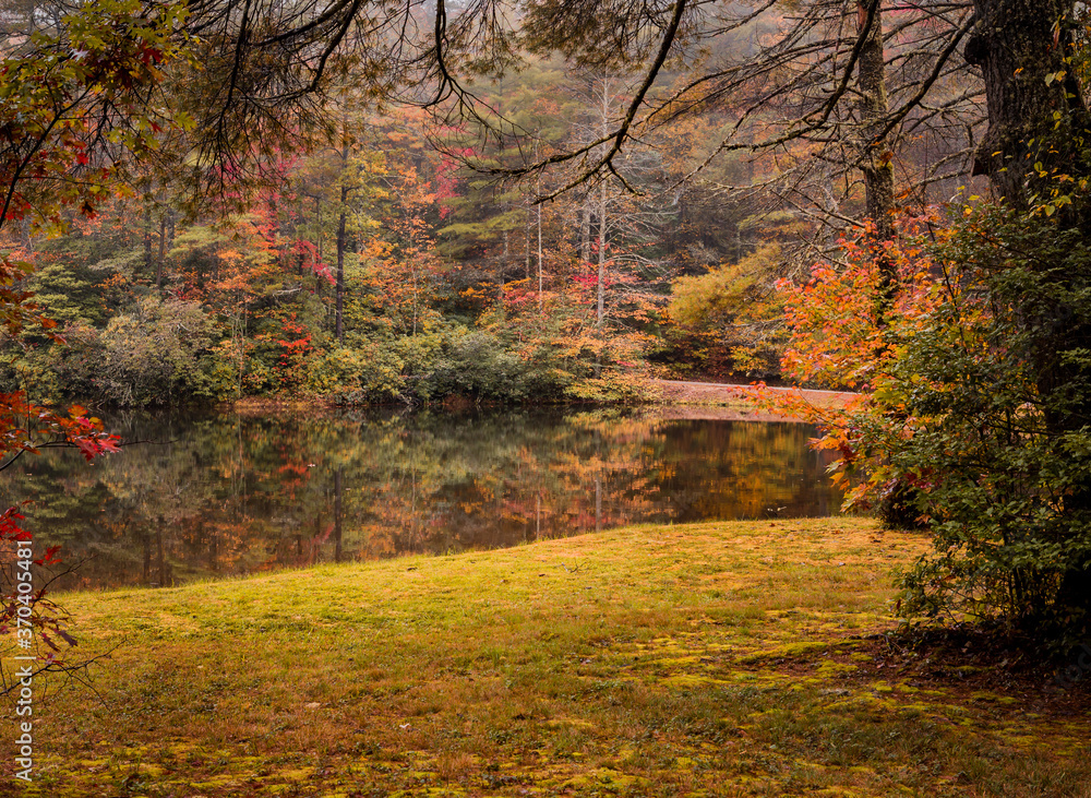 Autumn colors surround smalll pond in the forest