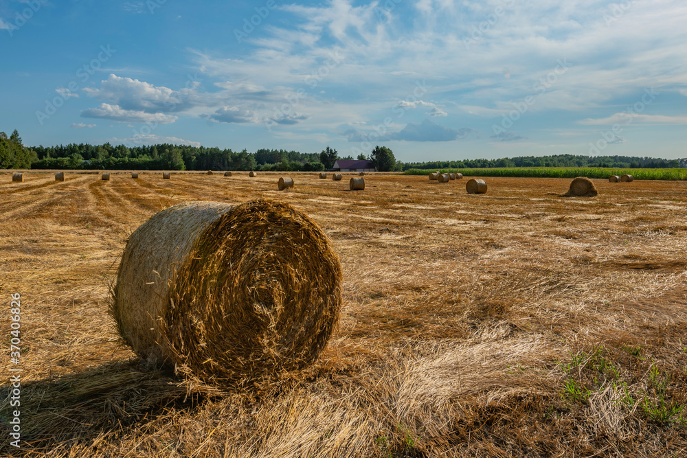 Stubble field with hay bales under a beautiful summer sky 